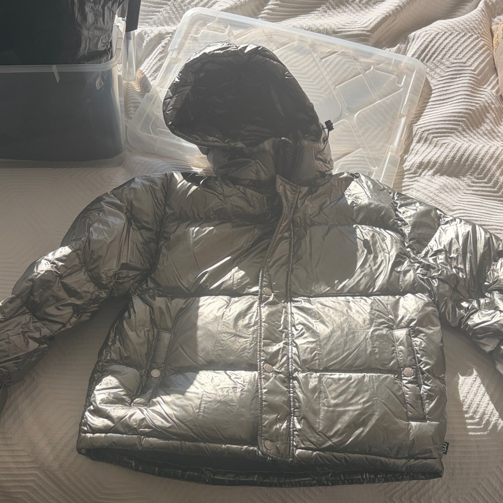 Aritzia Super Puff Silver Puffer Jacket